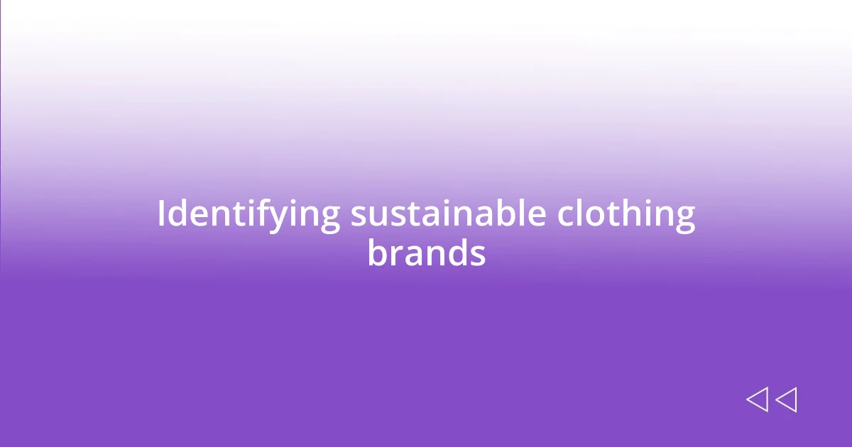 Identifying sustainable clothing brands